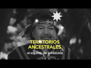 Mapuche: Serie CNTV Territorios Ancestrales